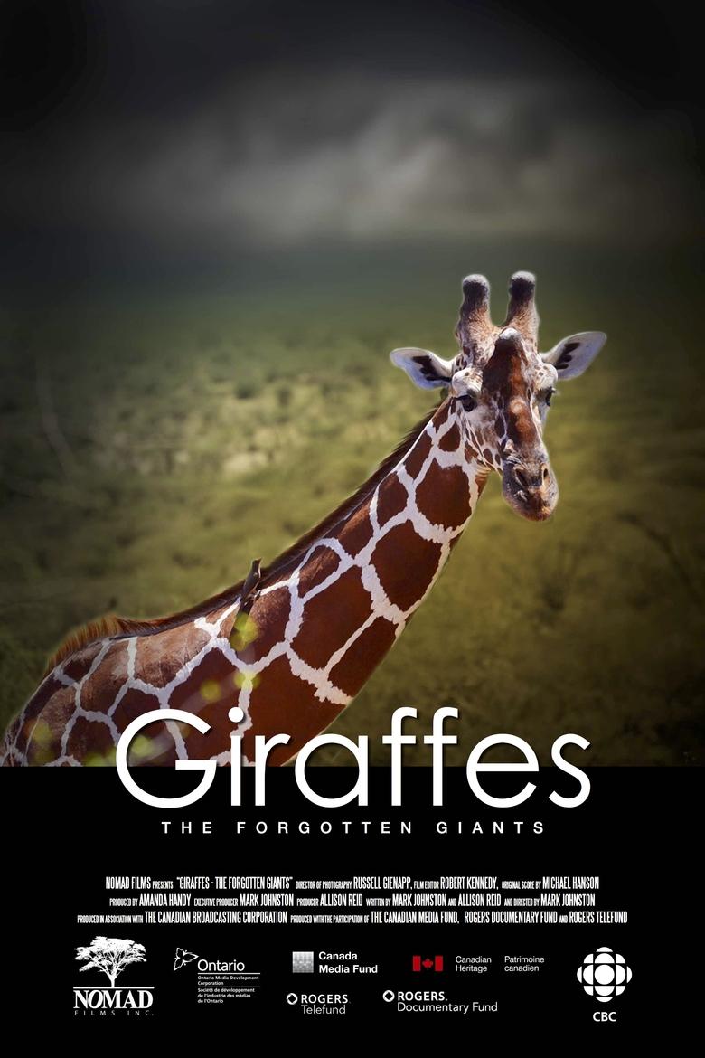 Poster of Giraffes: The Forgotten Giants