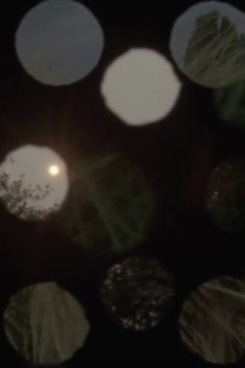 Poster of Light Coins
