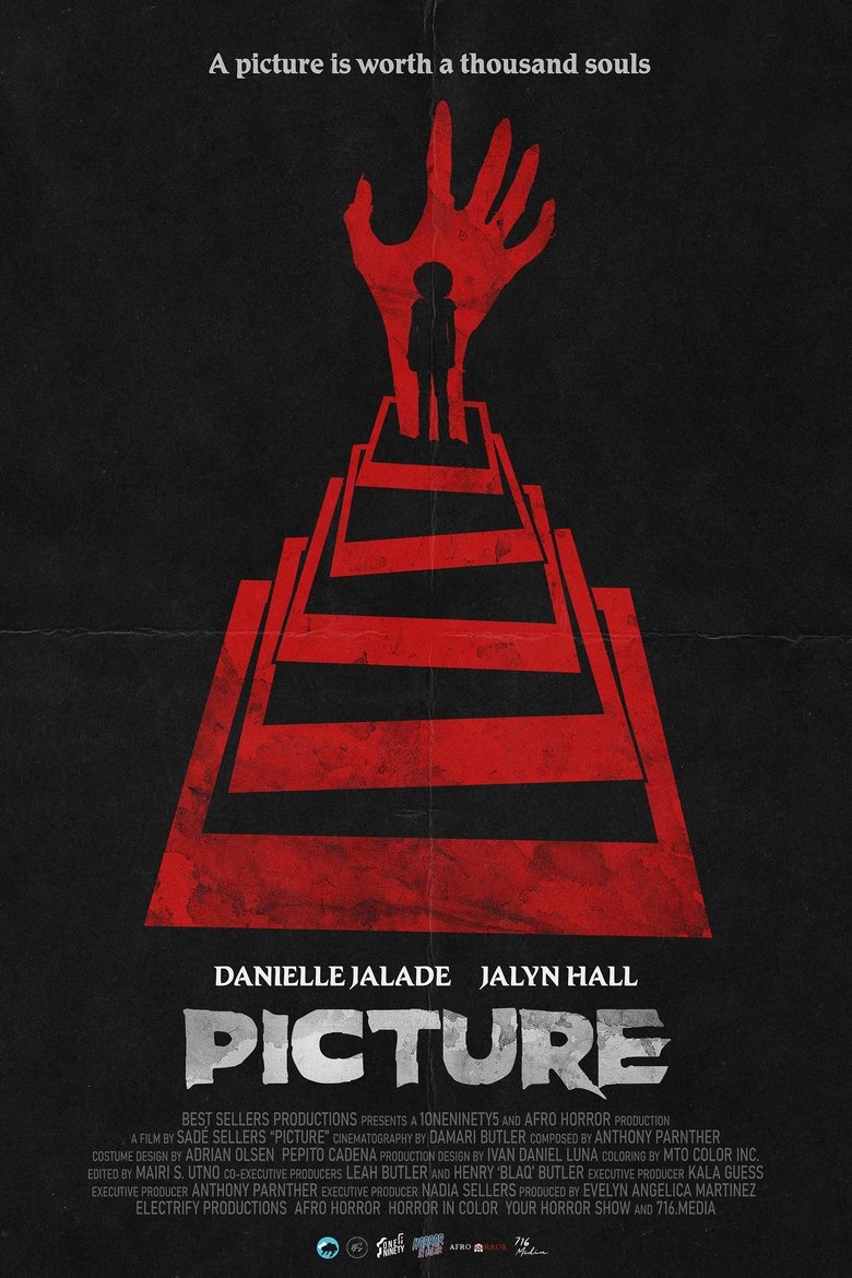 Poster of Picture