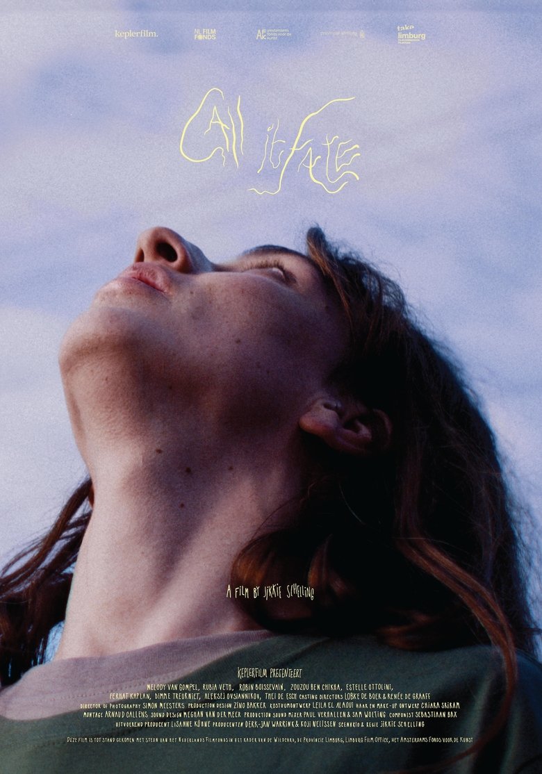 Poster of Call it Fate