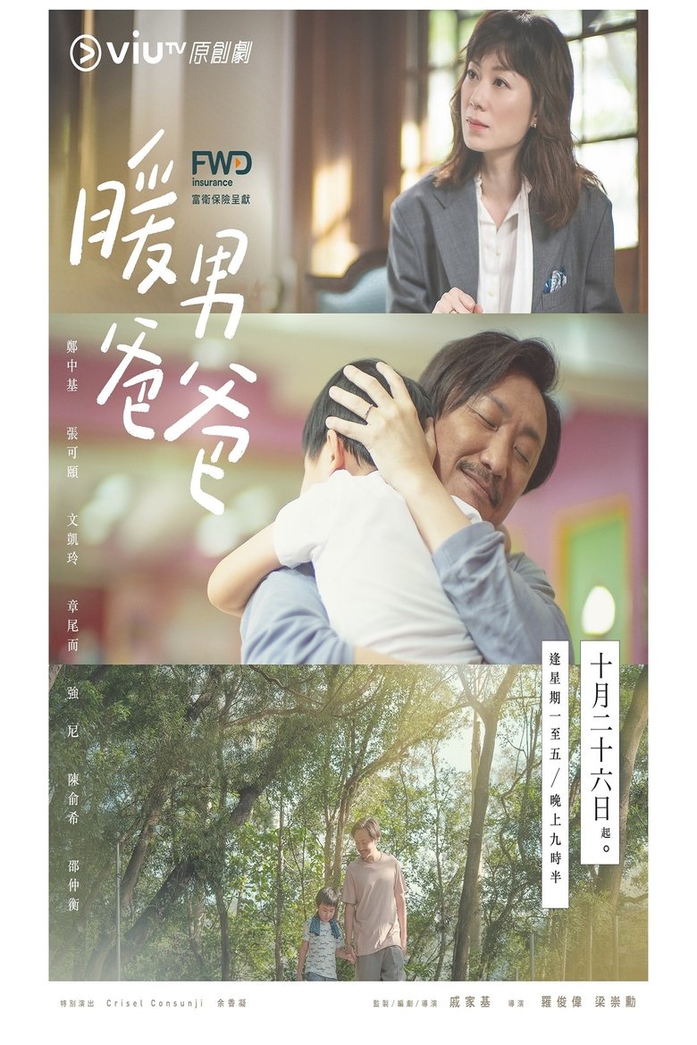 Poster of Single Papa