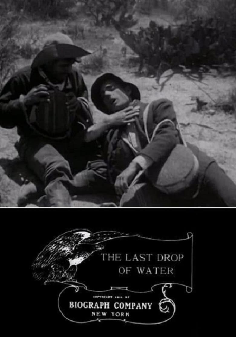 Poster of The Last Drop of Water