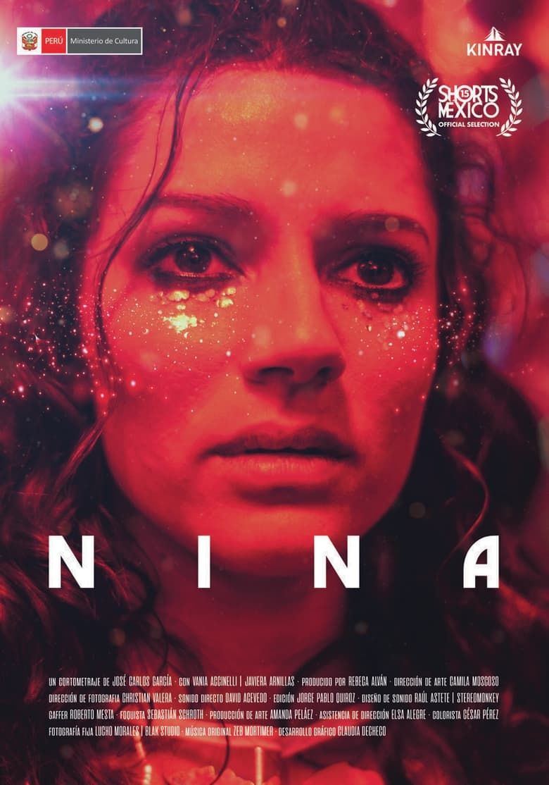 Poster of Nina