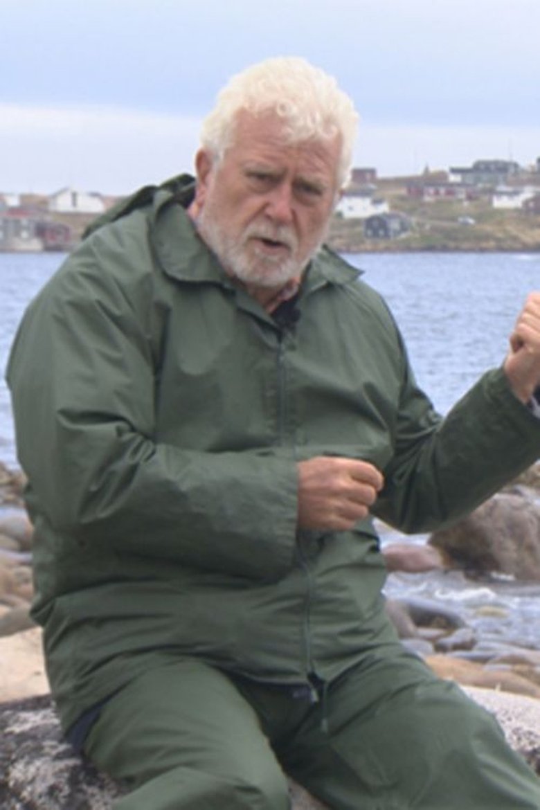 Poster of La memoria del arpón