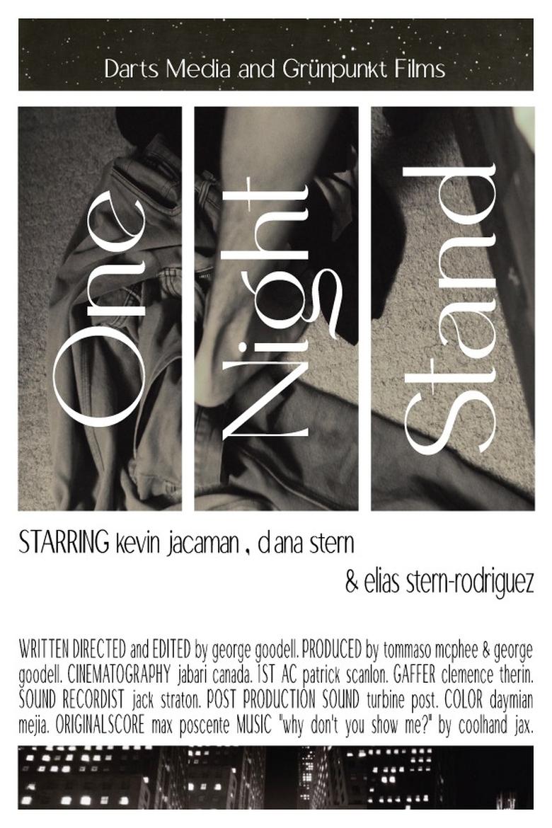 Poster of One Night Stand