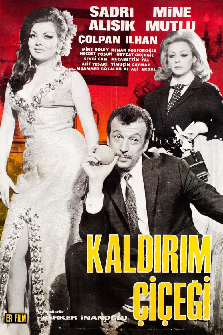 Poster of Kaldırım Çiçeği