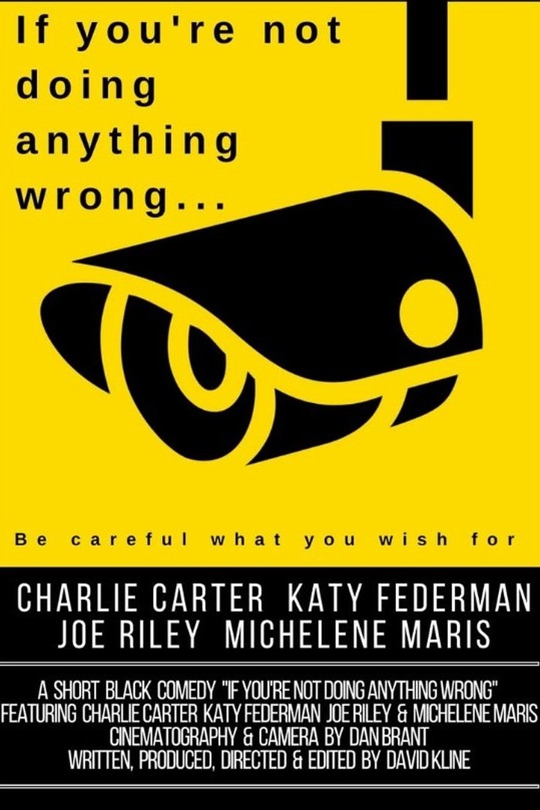 Poster of If You're Not Doing Anything Wrong