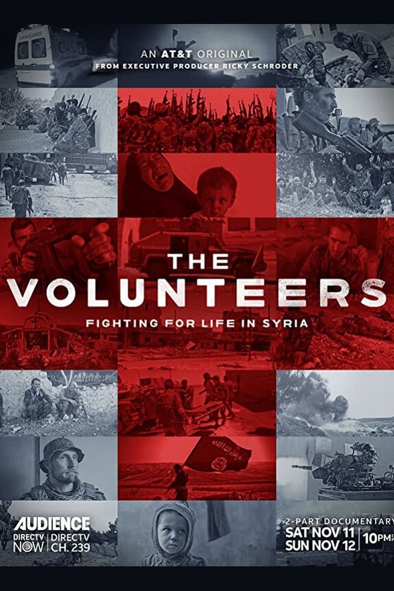 Poster of The Volunteers