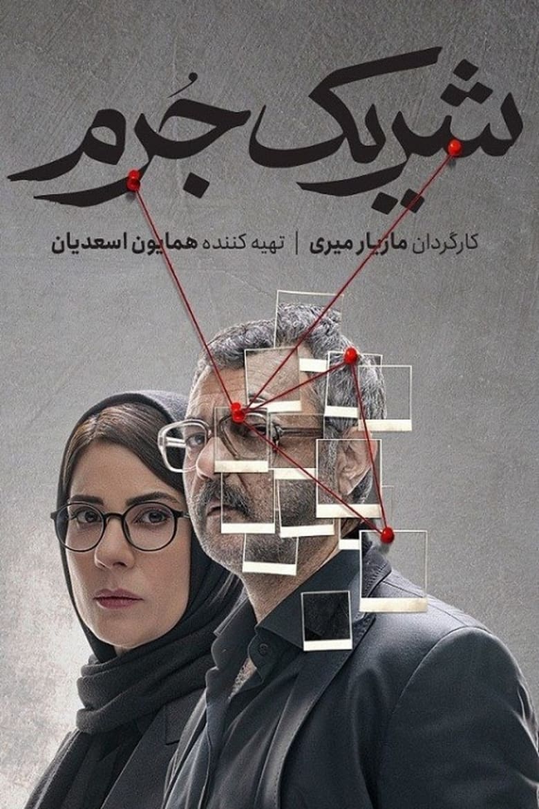 Poster of Accomplice