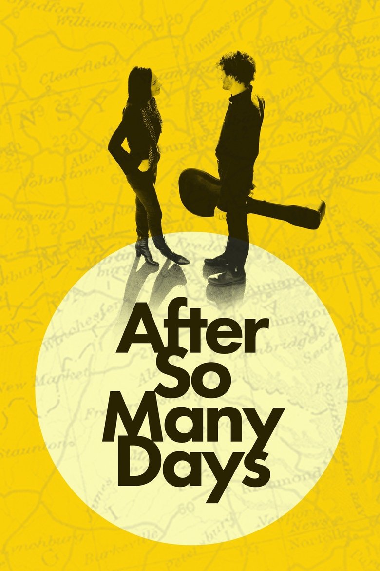 Poster of After So Many Days