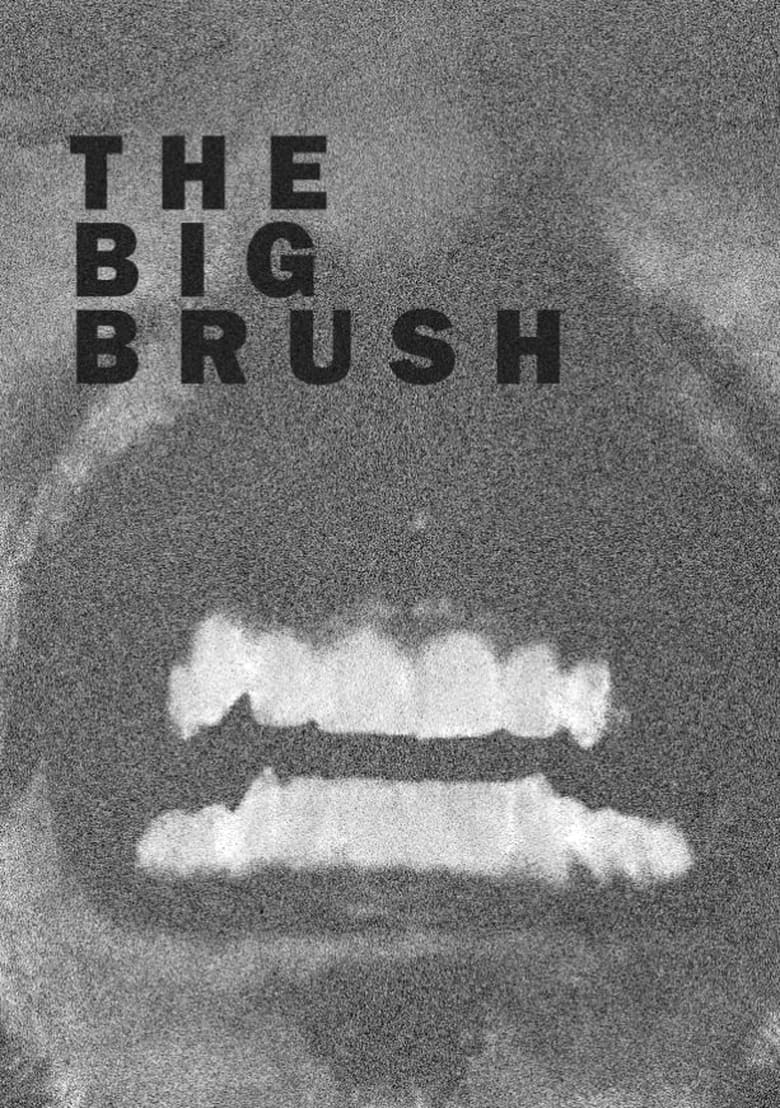 Poster of The Big Brush