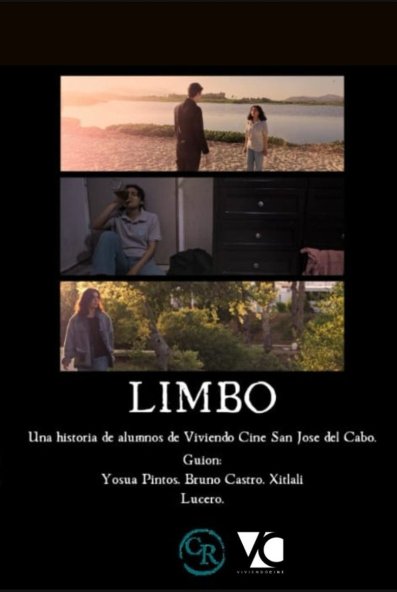 Poster of Limbo