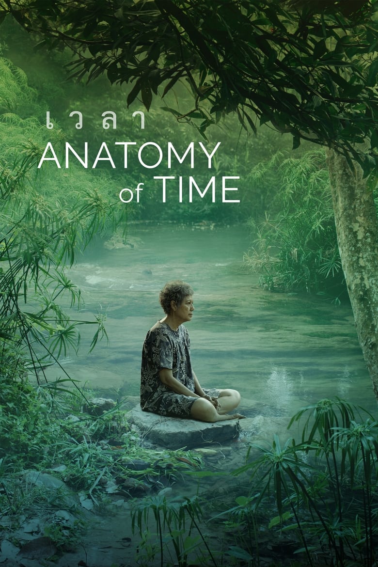 Poster of Anatomy of Time