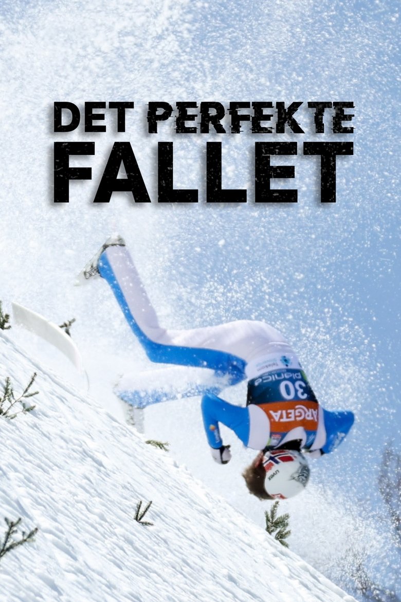 Poster of Det perfekte fallet