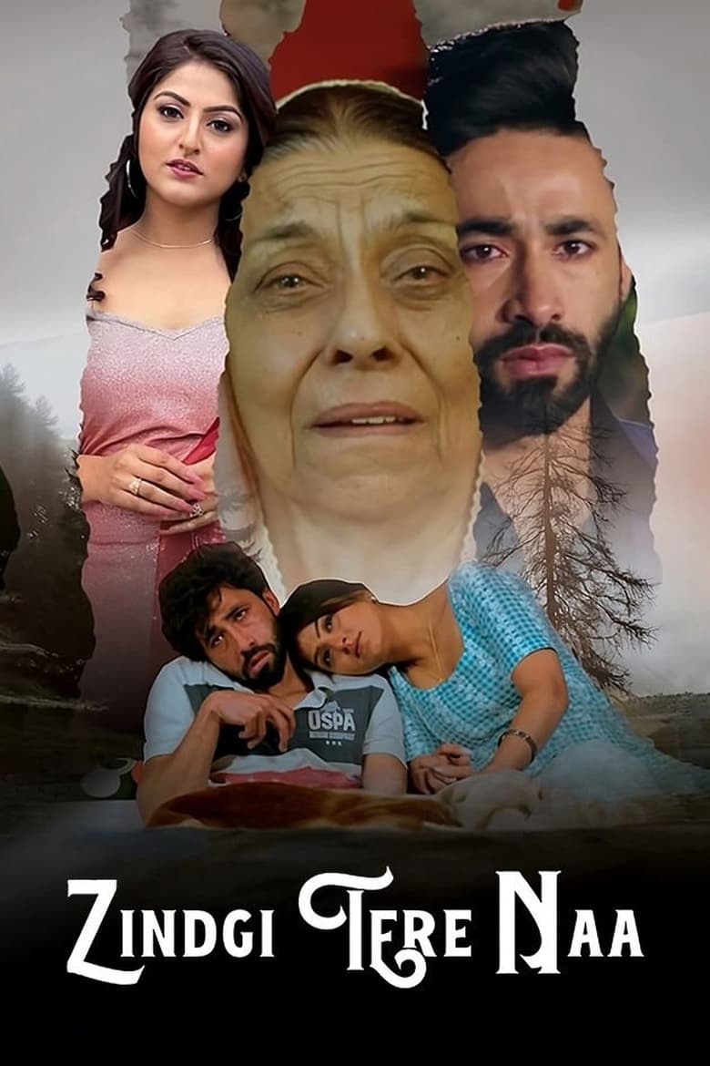 Poster of Zindgi Tere Naa