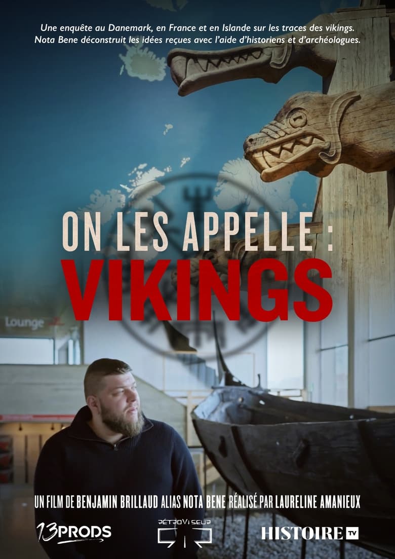 Poster of On les appelle vikings