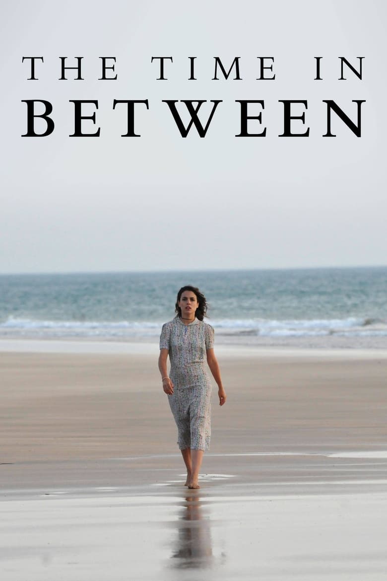 Poster of The Time in Between