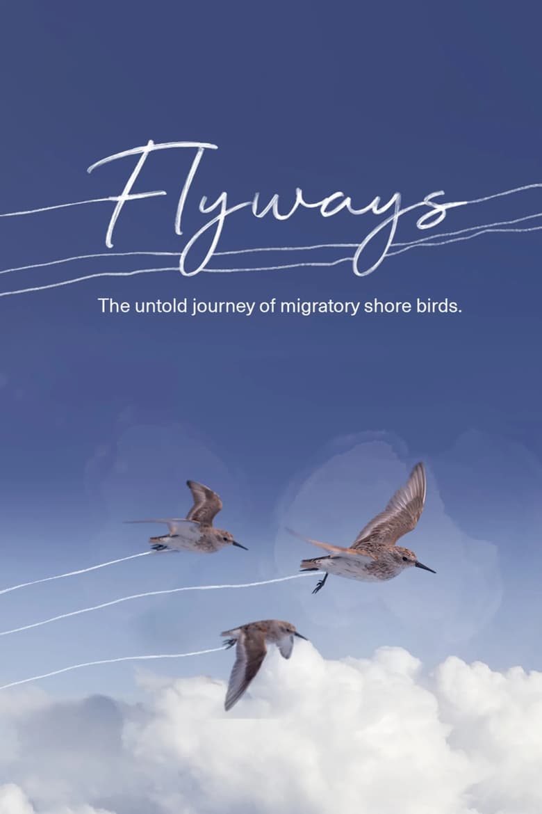 Poster of Flyways