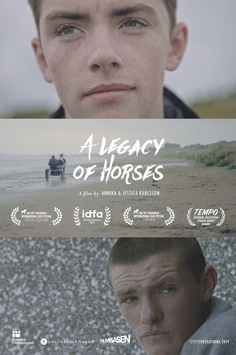 Poster of A Legacy of Horses