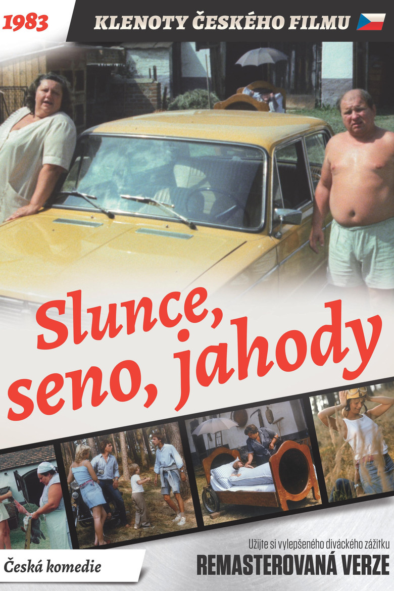 Poster of Sun, Hay, Berries