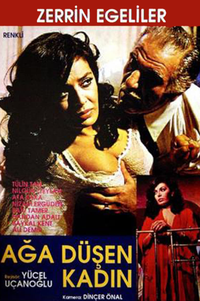 Poster of Ağa Düşen Kadın