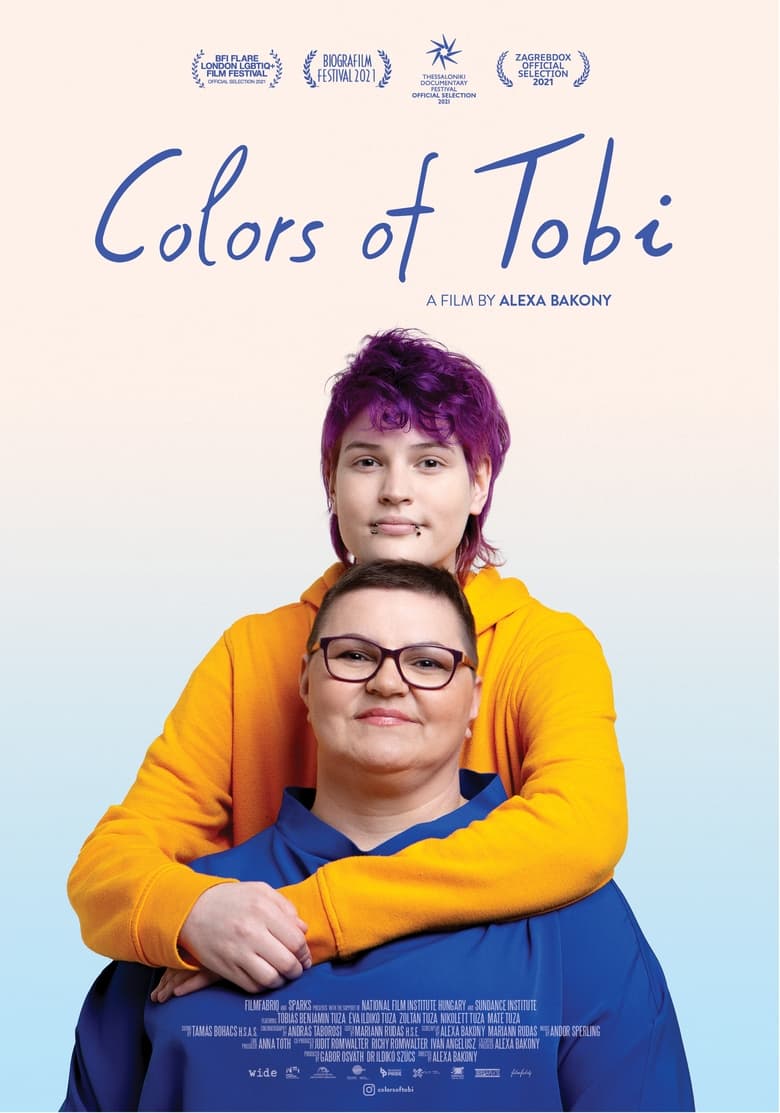 Poster of Colors of Tobi