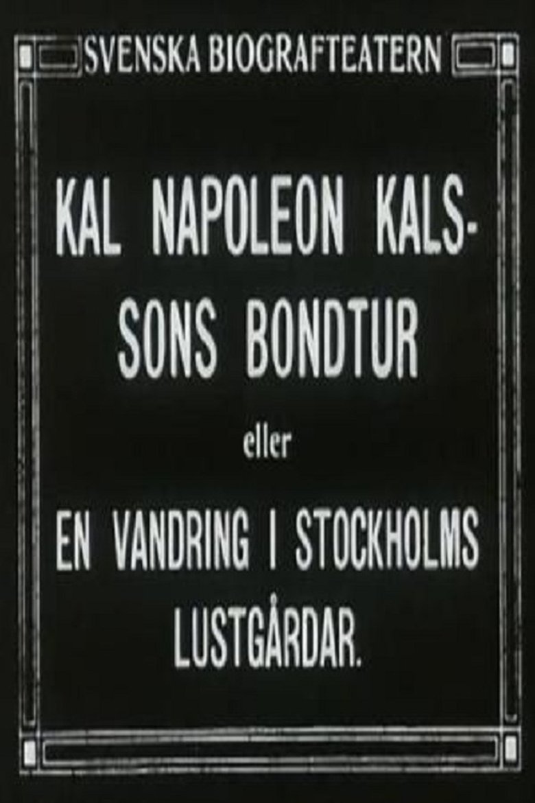 Poster of Kal Napoleon Kalsson's Farm Ride
