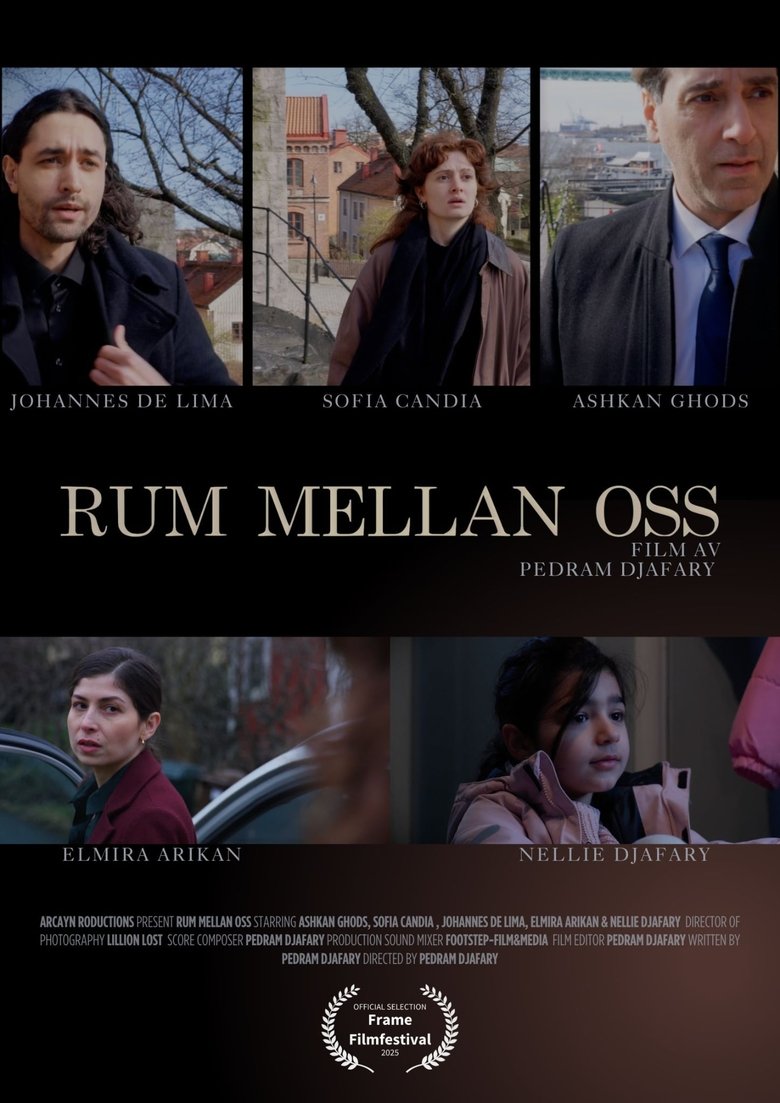 Poster of The room between us