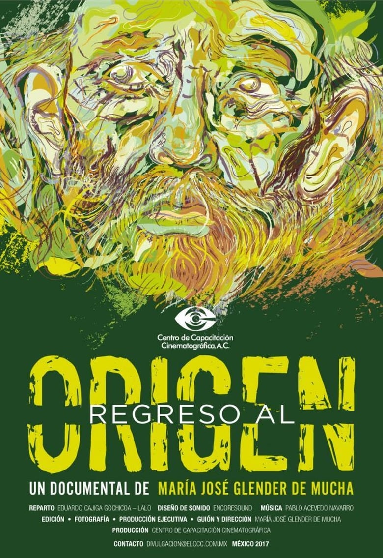 Poster of Back to the Origin