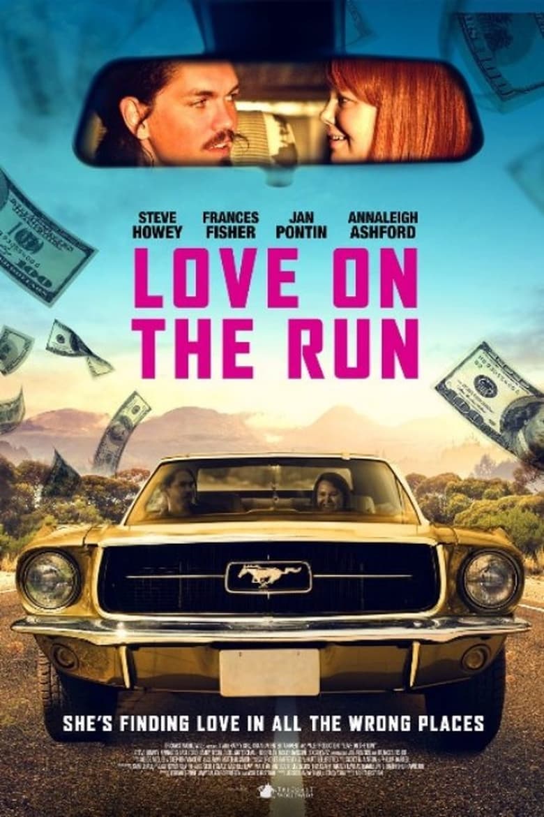 Poster of Love on the Run