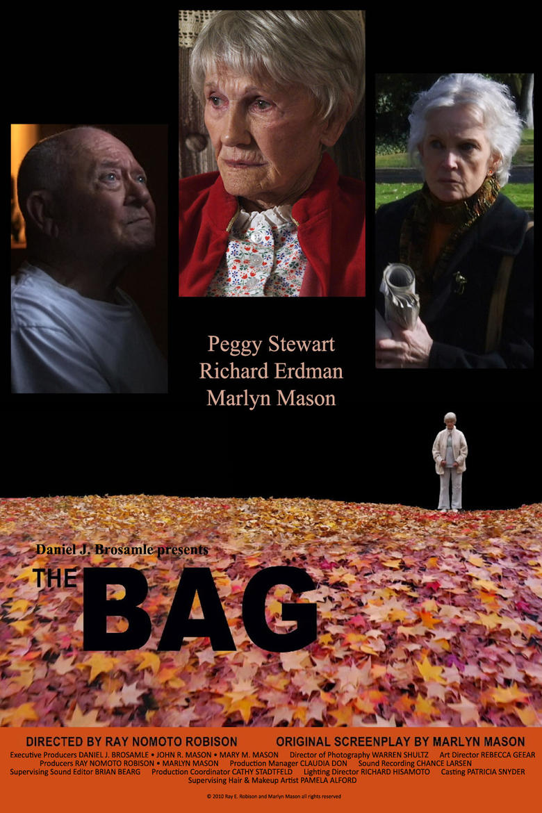 Poster of The Bag