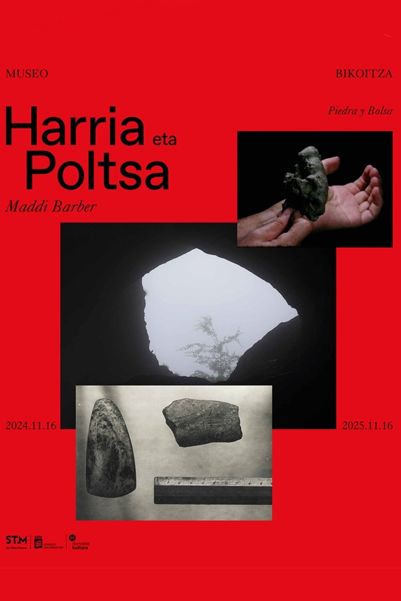 Poster of Stone and bag