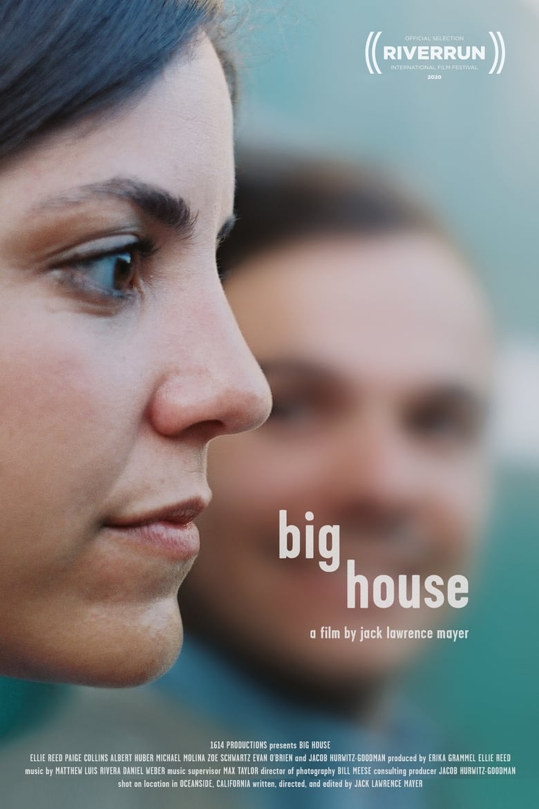 Poster of Big House