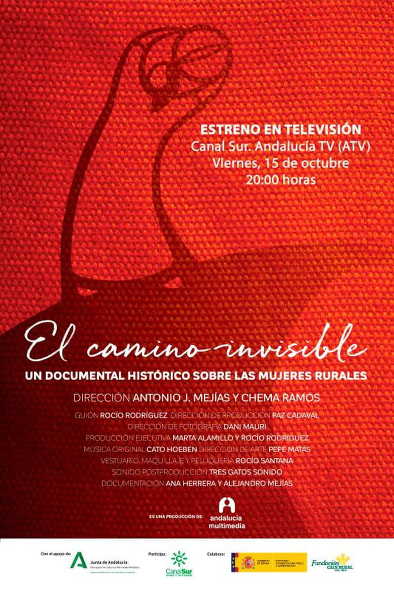 Poster of El camino invisible