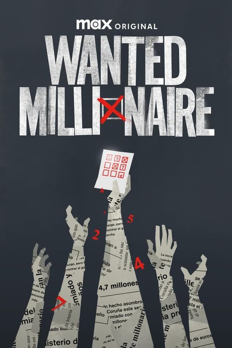 Poster of Se busca millonario