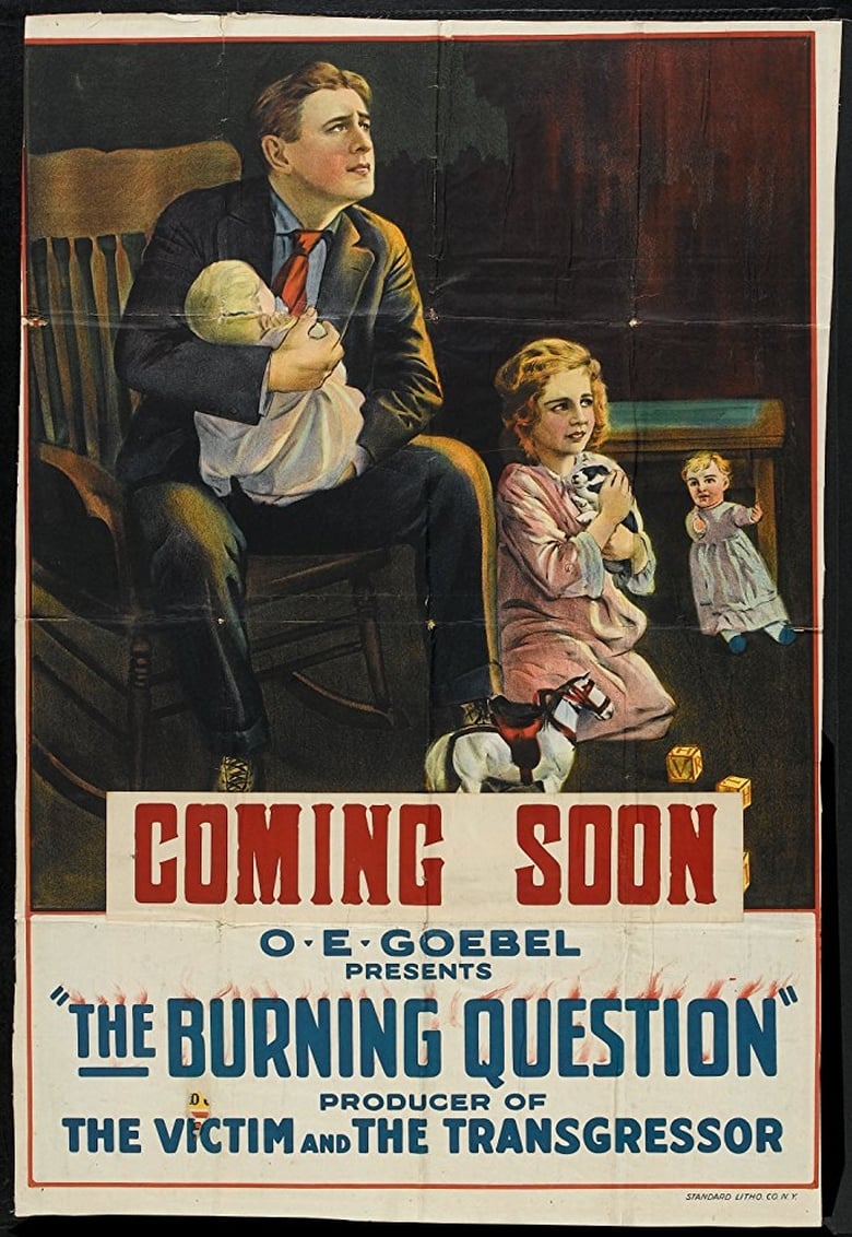 Poster of The Burning Question