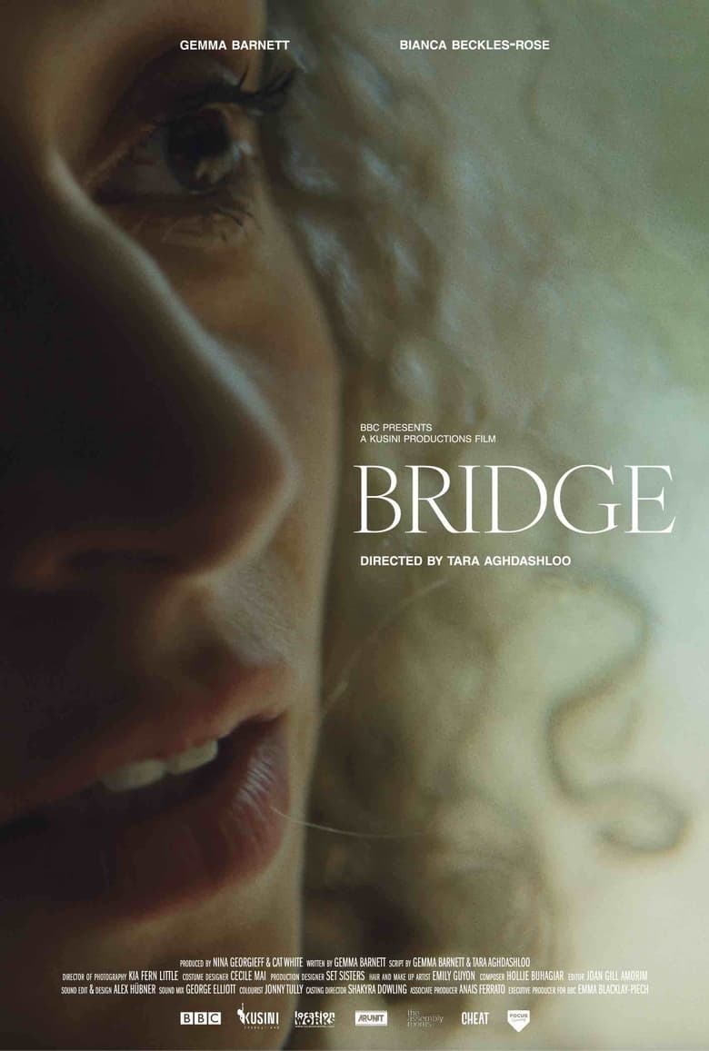 Poster of Bridge