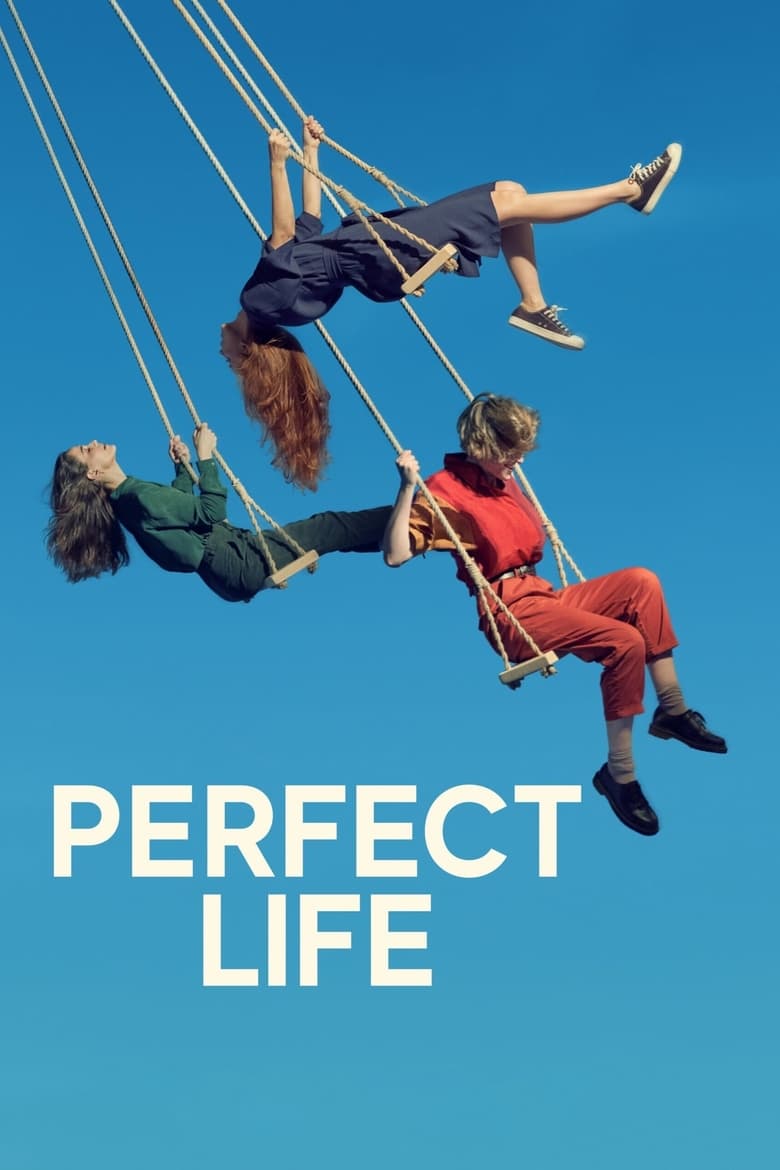 Poster of Perfect Life