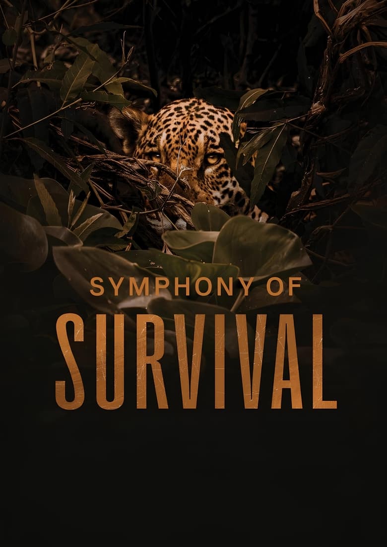 Poster of Symphony of Survival