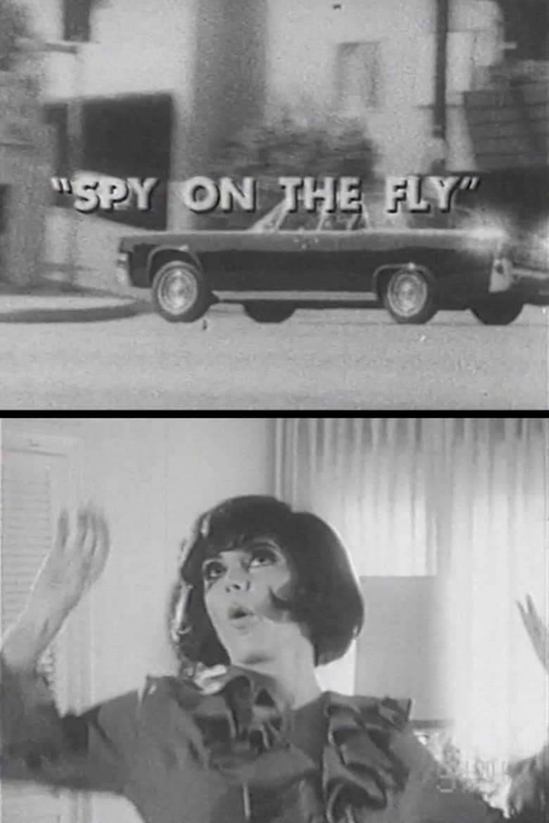 Poster of Spy on the Fly