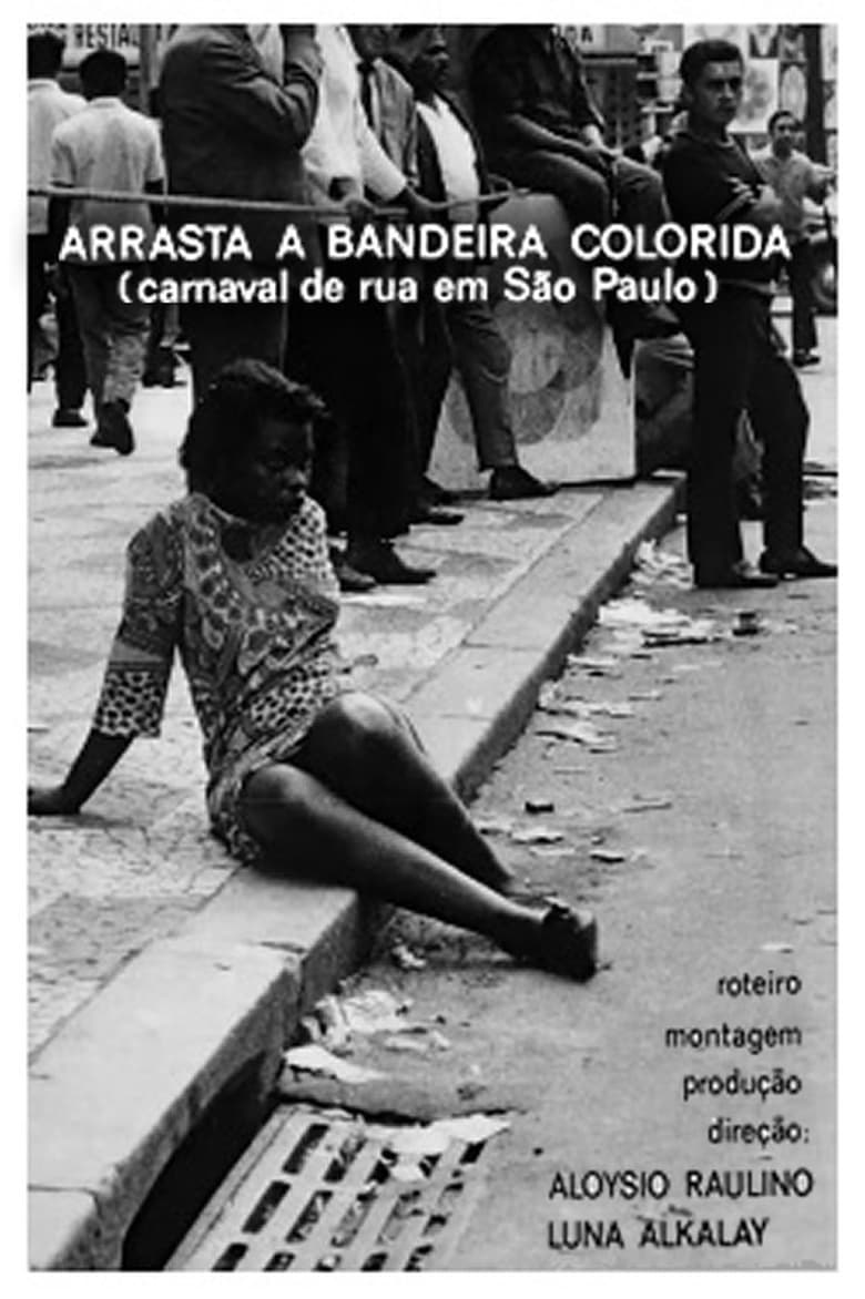 Poster of Arrasta a Bandeira Colorida