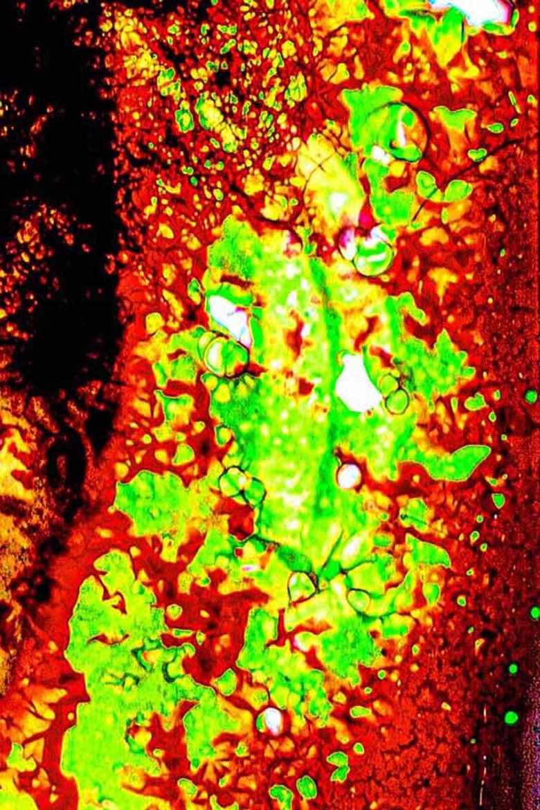 Poster of Embers from Yesterday, Aflame.