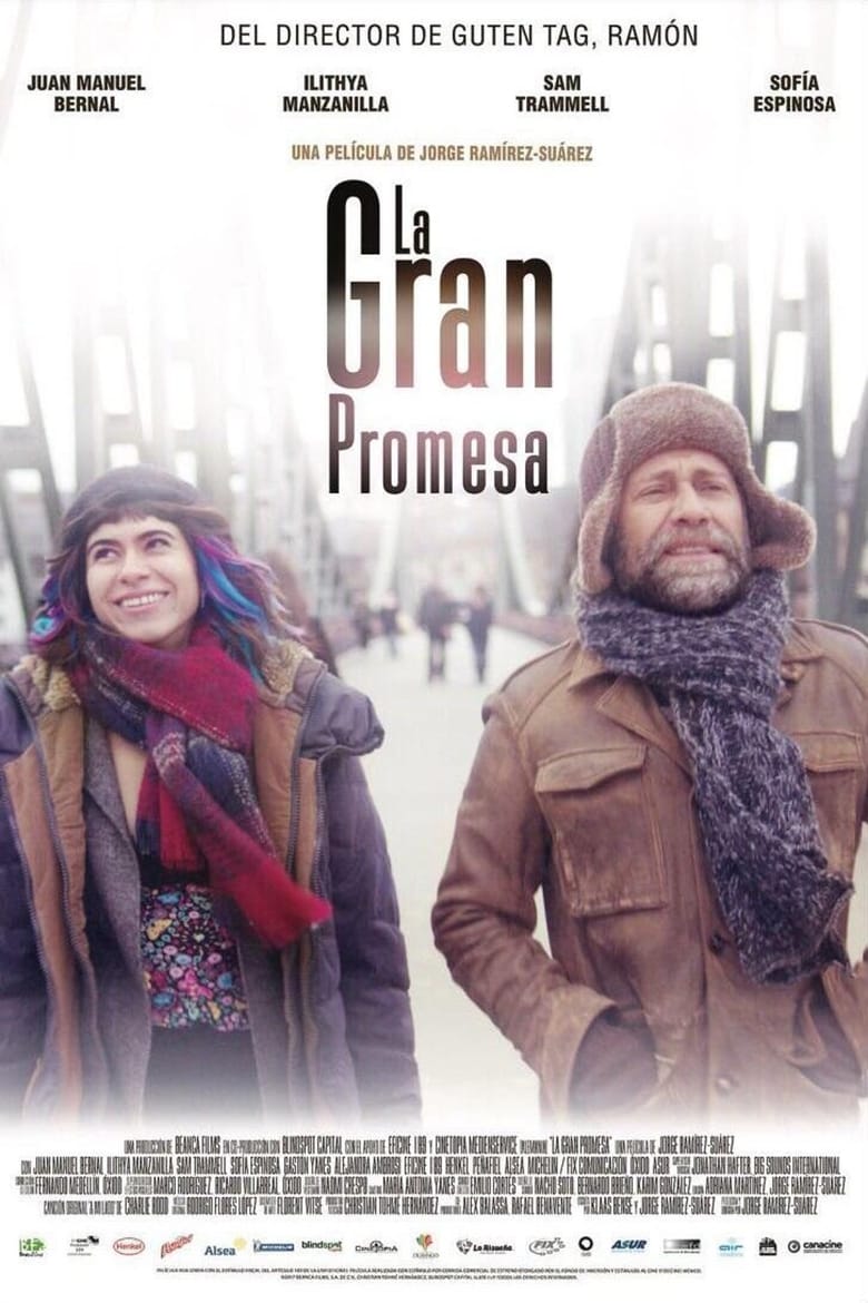 Poster of The Big Promise