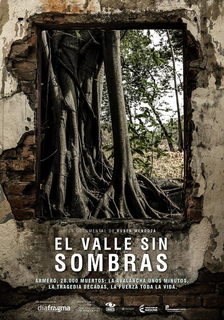 Poster of The shadowless valley