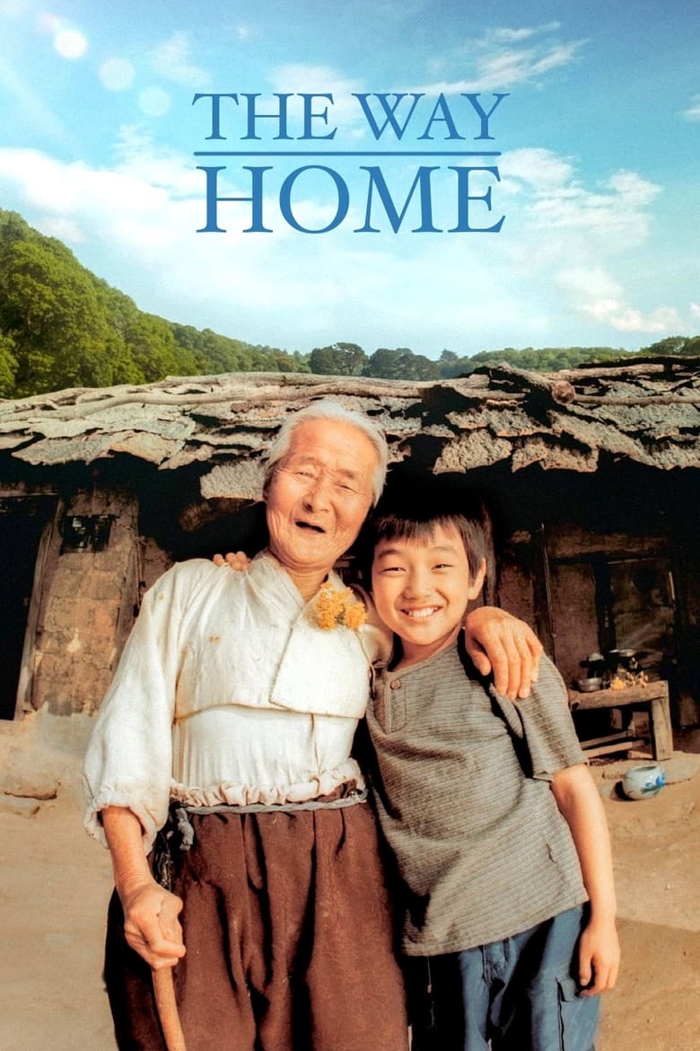 Poster of The Way Home