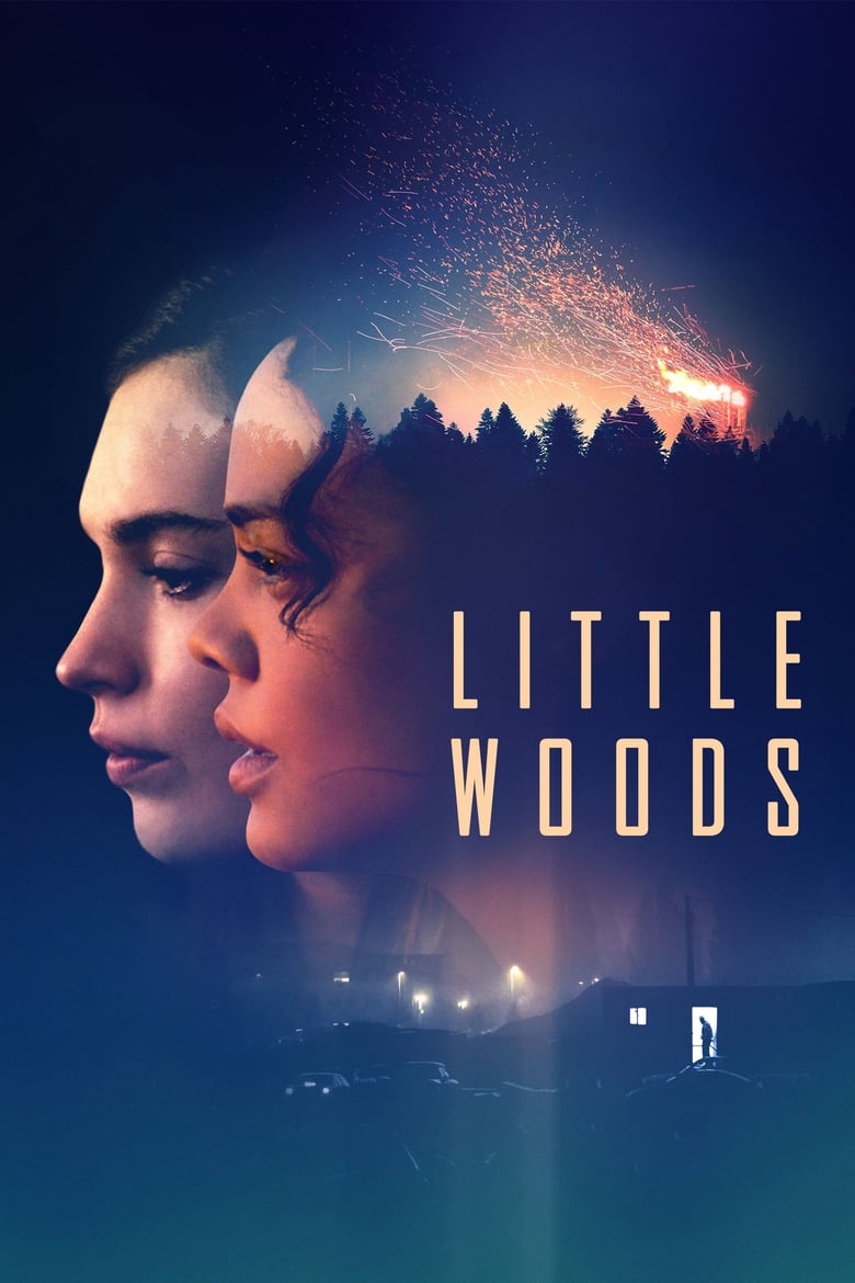 Poster of Little Woods