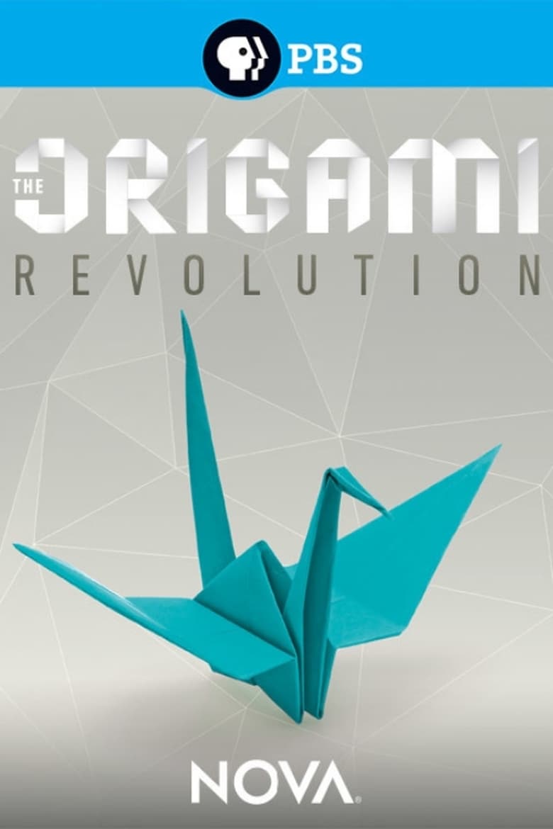 Poster of The Origami Revolution