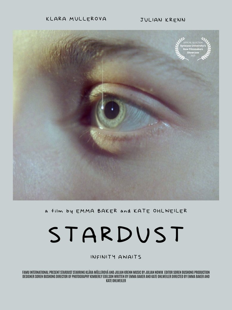 Poster of Stardust