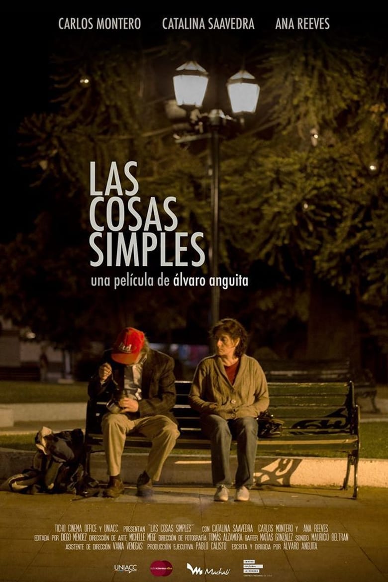 Poster of The Simple Things