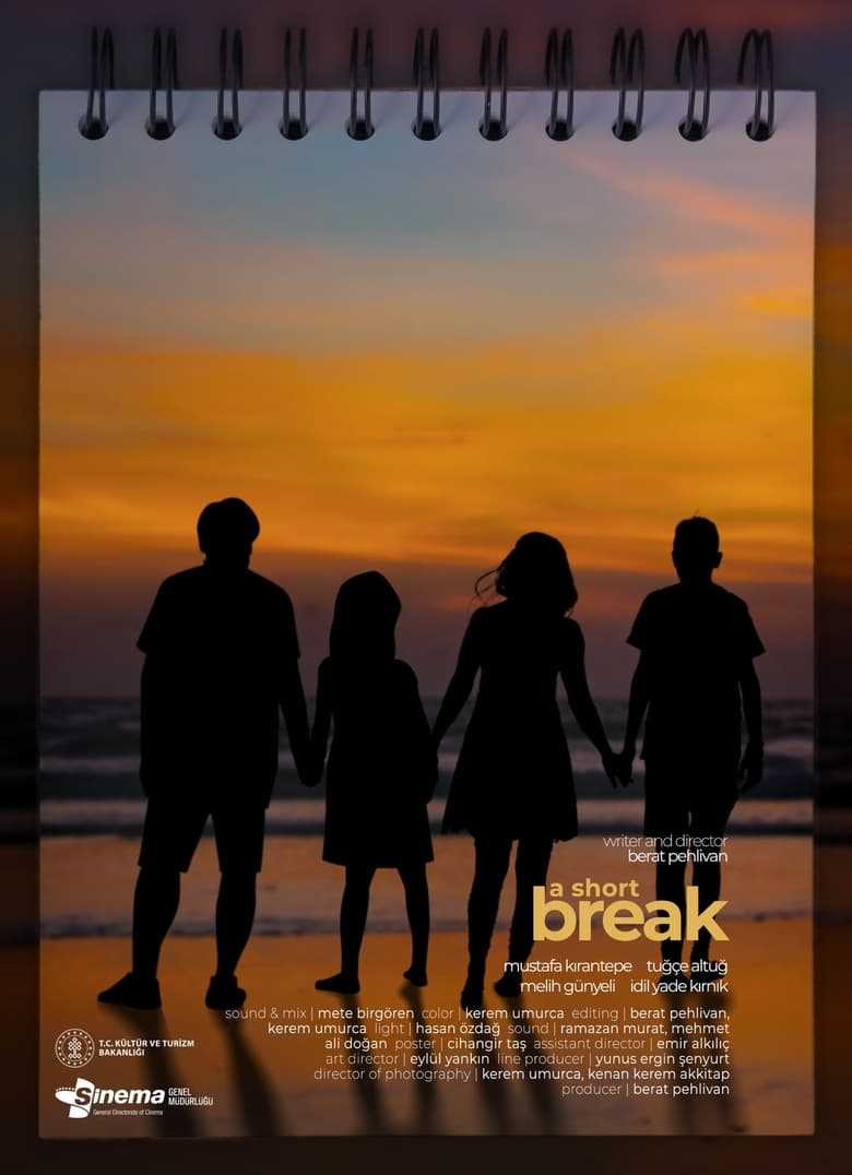 Poster of A Short Break